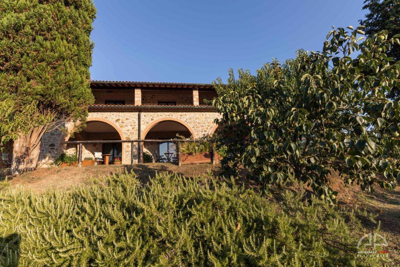 סאסטה Villa Sant Anna מראה חיצוני תמונה